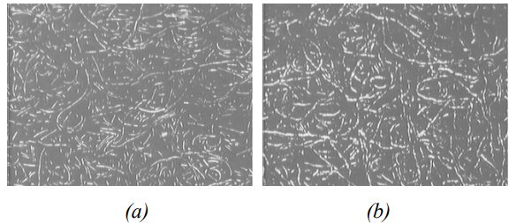 Влияние неоднородности прессового сукна на гладкость и обезвоживание бумажного полотна5.png