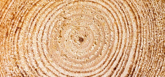 Статистически обоснованная оценка влияния наноклетчатки, размола и катионного крахмала на свойства лайнера из МС-5Б (OCC)